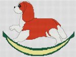 (image for) Rocking Cavalier King Charles Spaniel